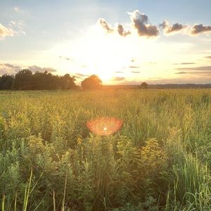 Meet your Posher, Kaitlin